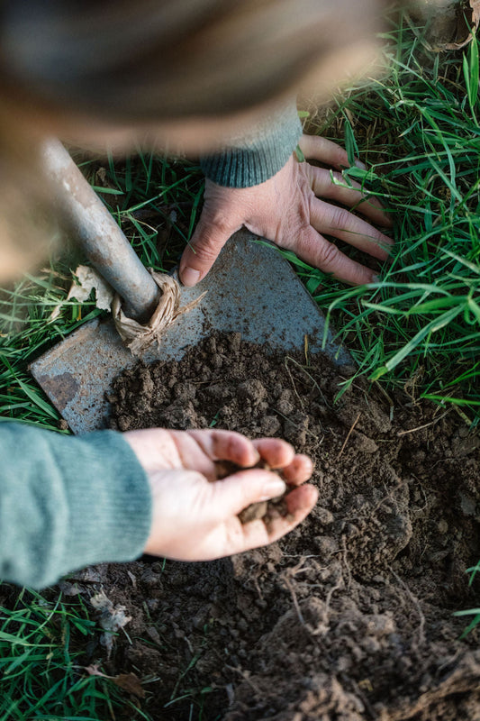 Certified Regeneration: Our Standards in Action