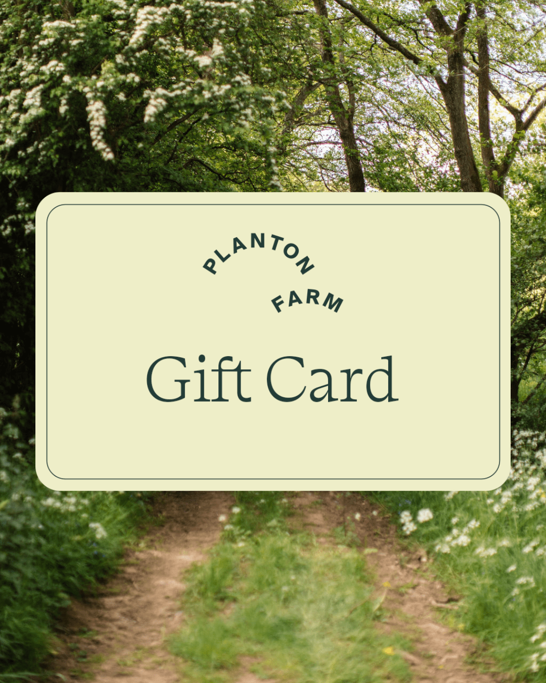 Gift Card