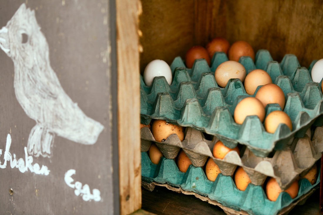 Why We’re Pressing Pause on Egg Sales—But Not on Progress