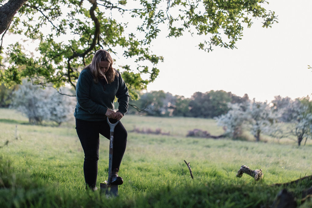 What Is Regenerative Agriculture? - Our Perspective