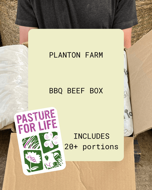 BBQ Beef Box