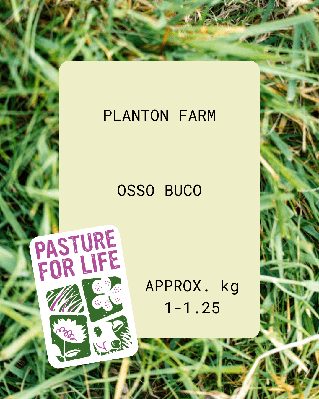 Osso Buco