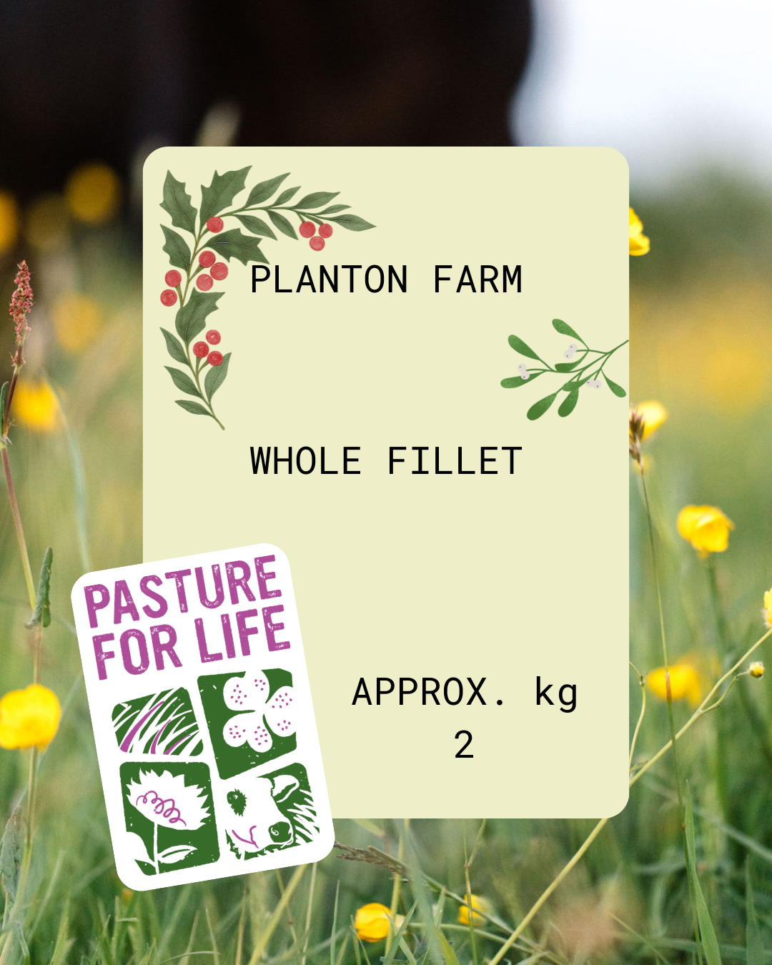 Whole Fillet