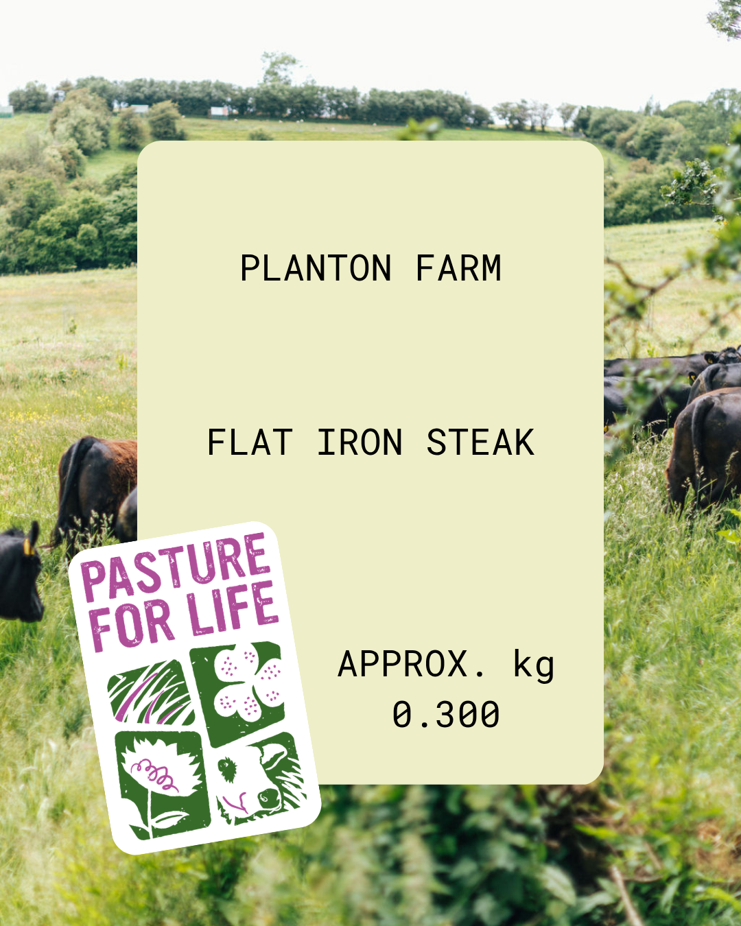 Flat Iron Steak