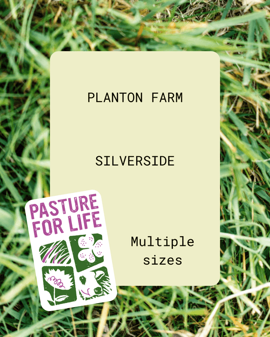 Silverside