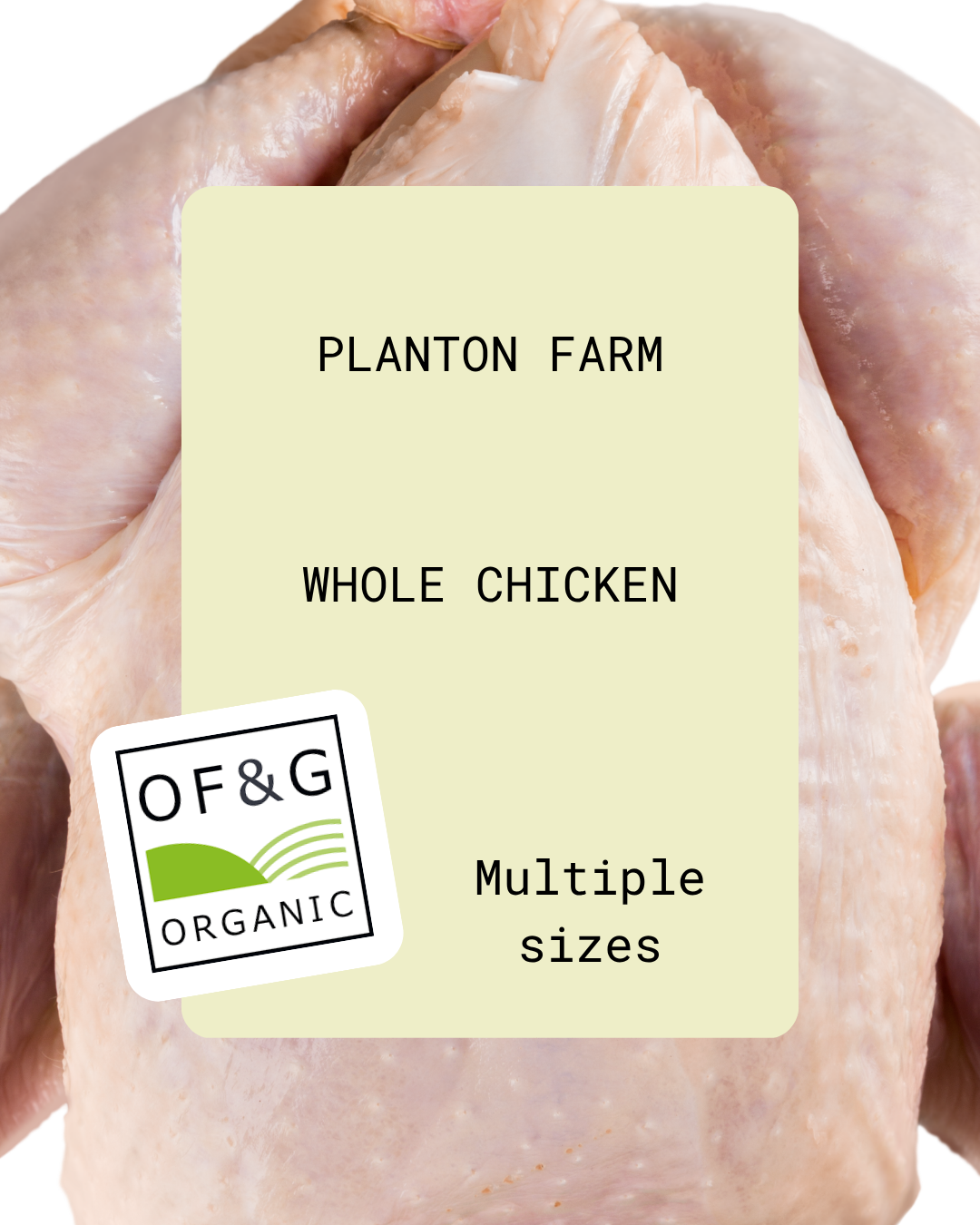 Whole Chicken